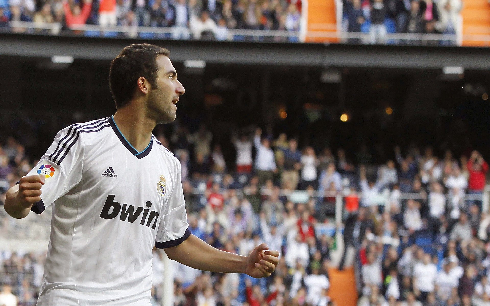 爱游戏官网充值-“从草根到顶级球员：埃尔斯·霍斯特的非凡橄榄球之路”